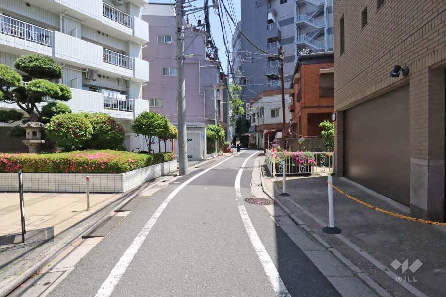 敷地南西側の前面道路（北西側から）