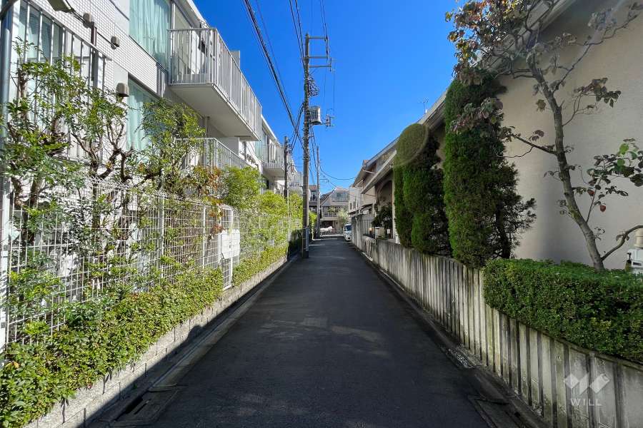 敷地南側の前面道路（西側から）