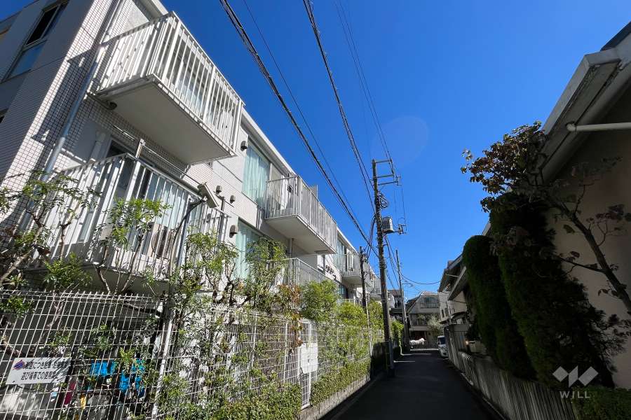 敷地南側の前面道路（西側から）