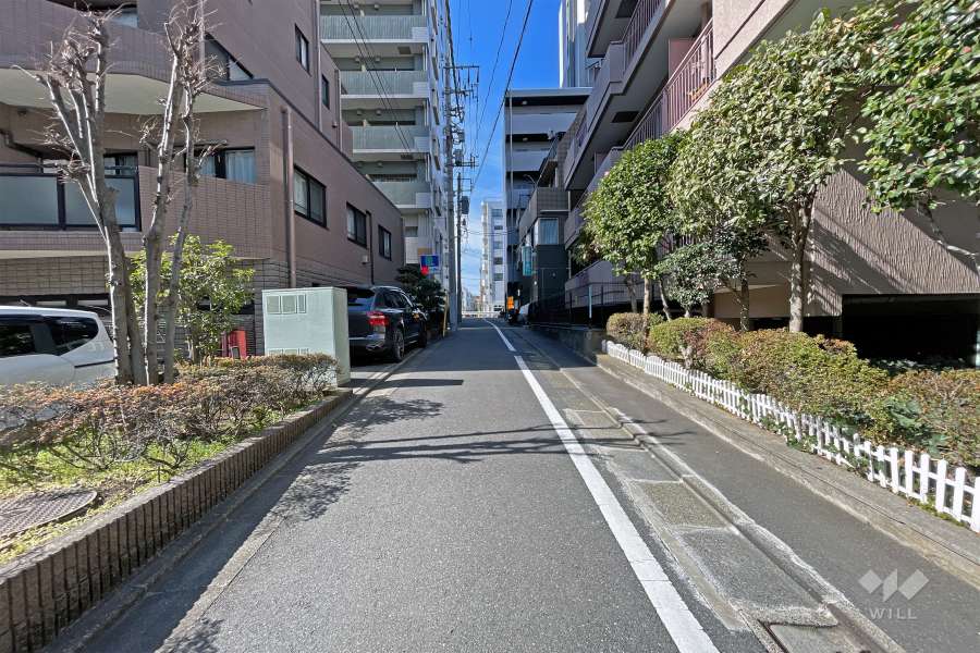 敷地南側の前面道路（東側から）