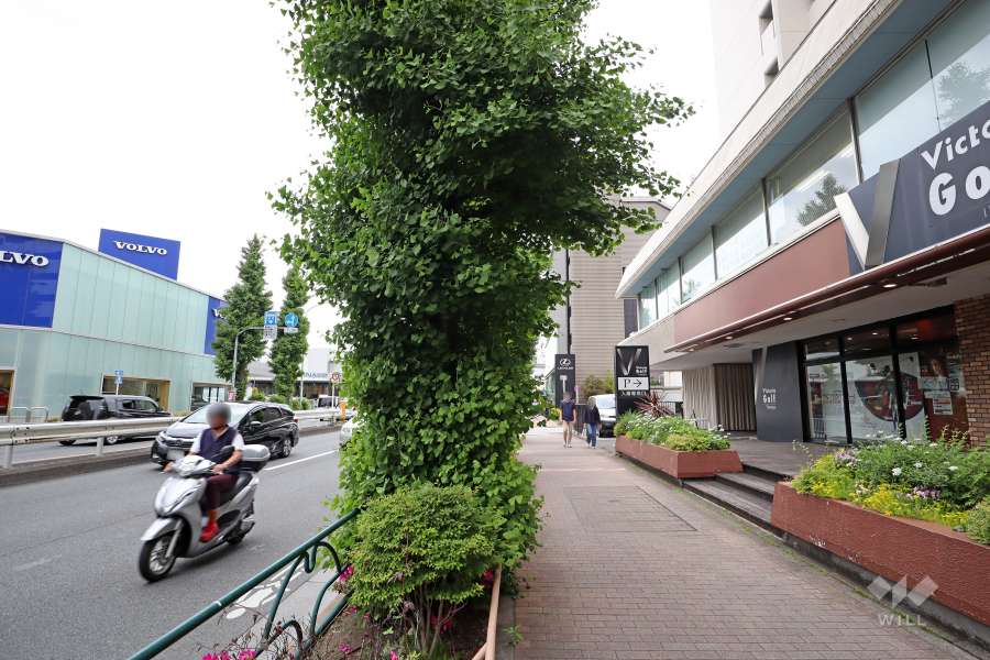 敷地北東側の前面道路