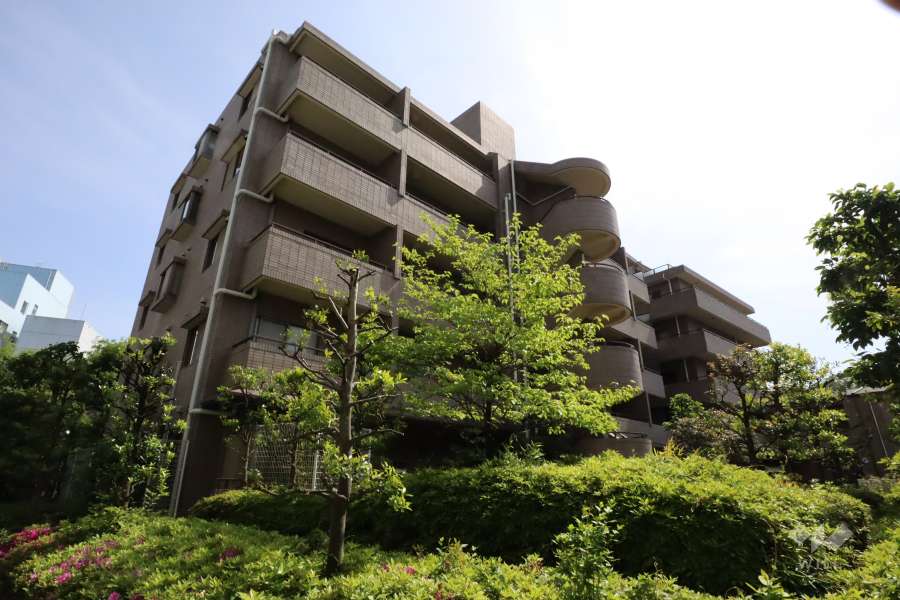 藤和目黒ホームズの外観(北側から)