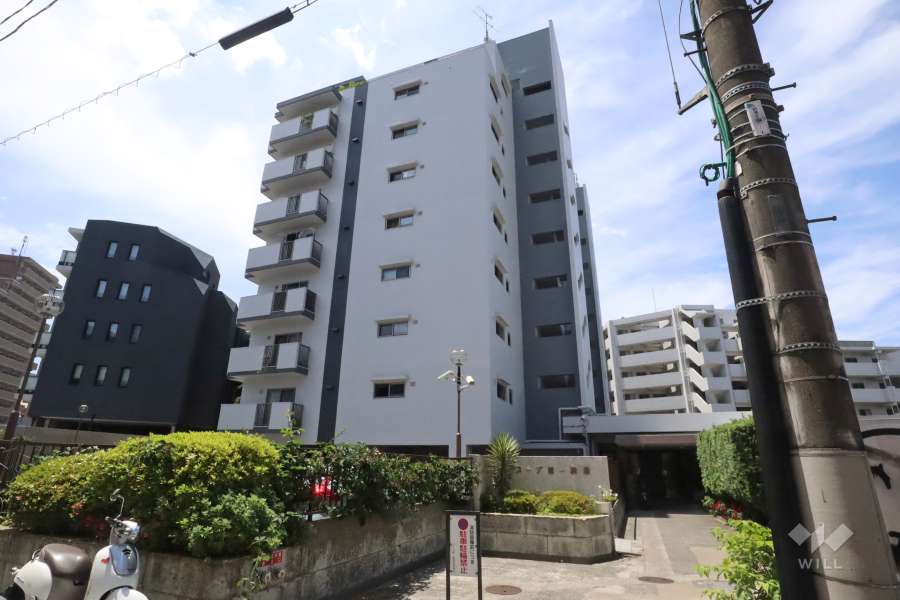 コープ第一駒場の外観(北東側から)　