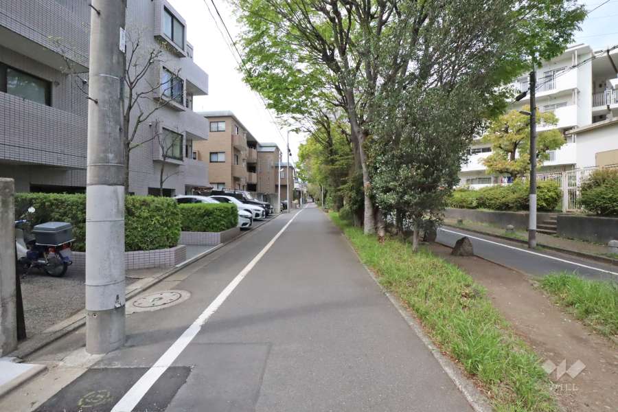 敷地北東側の前面道路(北南東側から)