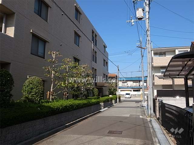敷地東側の前面道路。周辺は一戸建てが中心に立ち並ぶ静かな住宅地です。