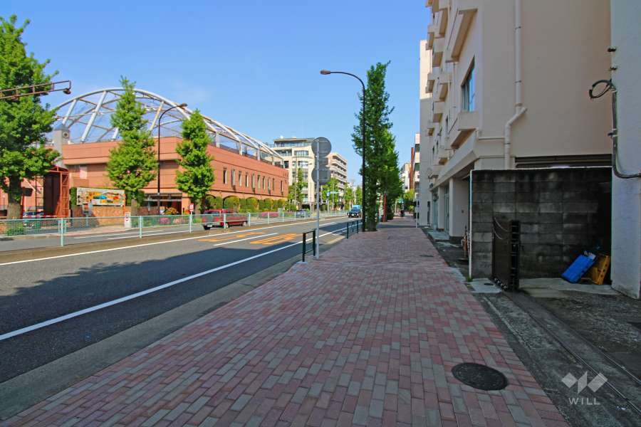 敷地北側の前面道路（西側から）