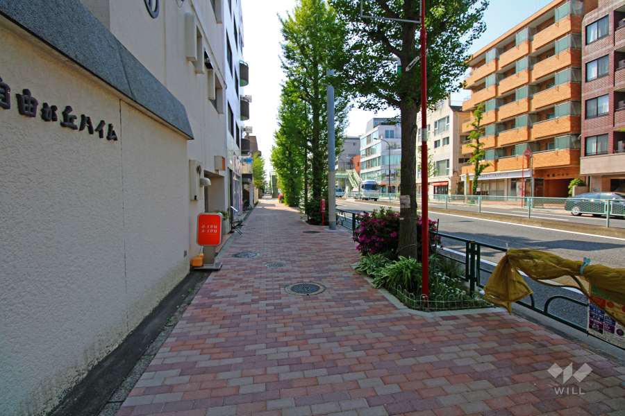 敷地北側の前面道路（東側から）