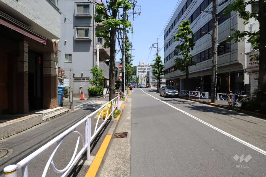 敷地南東側の前面道路(南西側から)