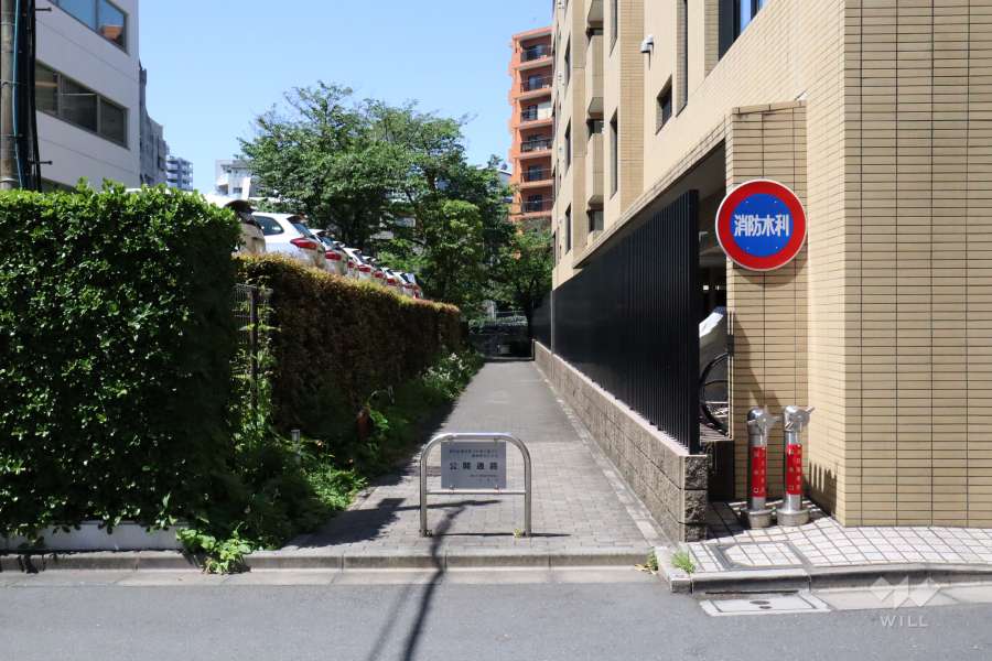 敷地南東側の前面道路(北東側から)