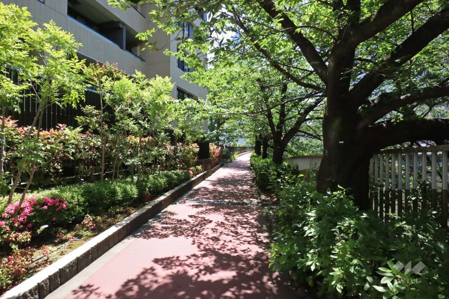 敷地南西側の前面道路(北西側から)