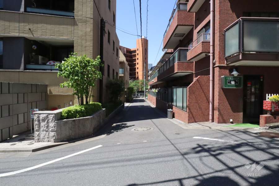 敷地北西側の前面道路(北東側から)