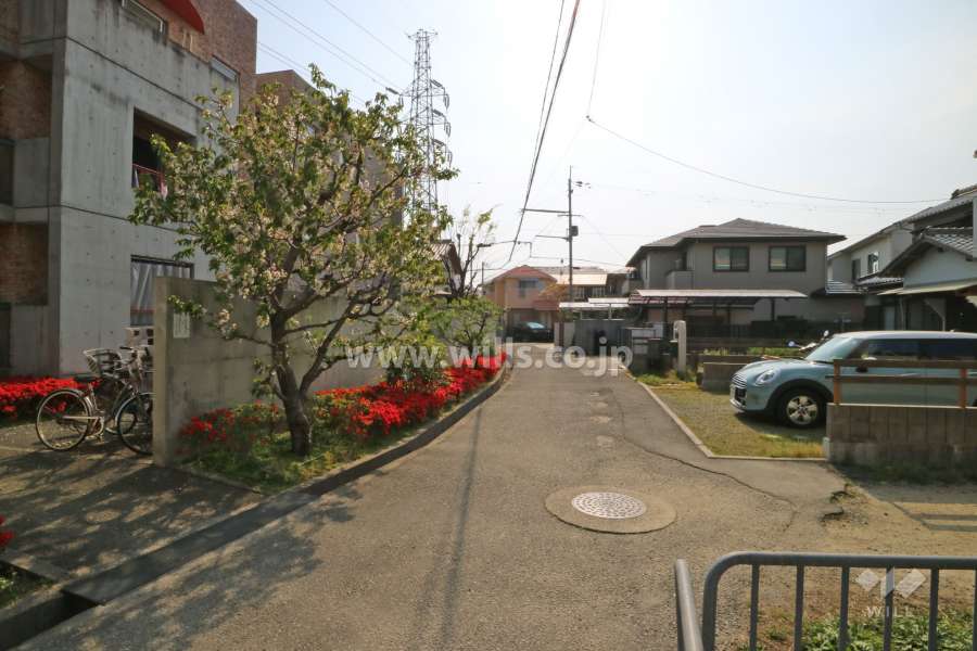 敷地北側の前面道路