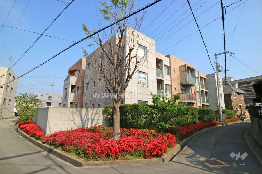 パレプラス塚口北の外観（北西側から）