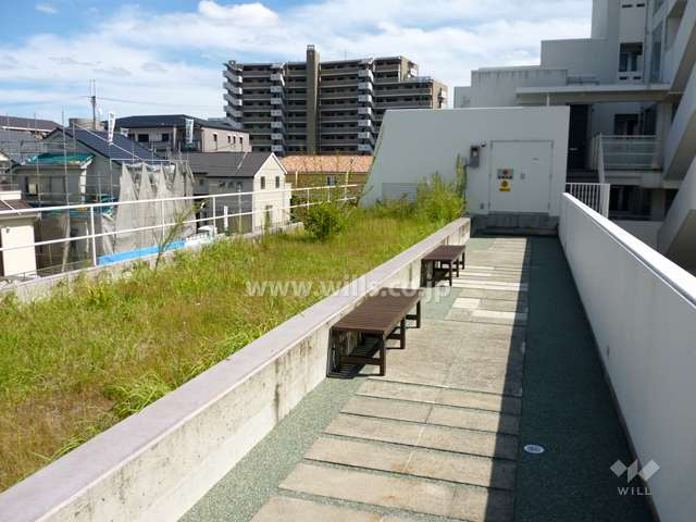屋上庭園