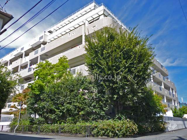 パレ昆陽池公園1の外観（南側から）