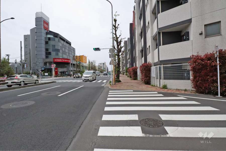 敷地南側の前面道路(東側から)