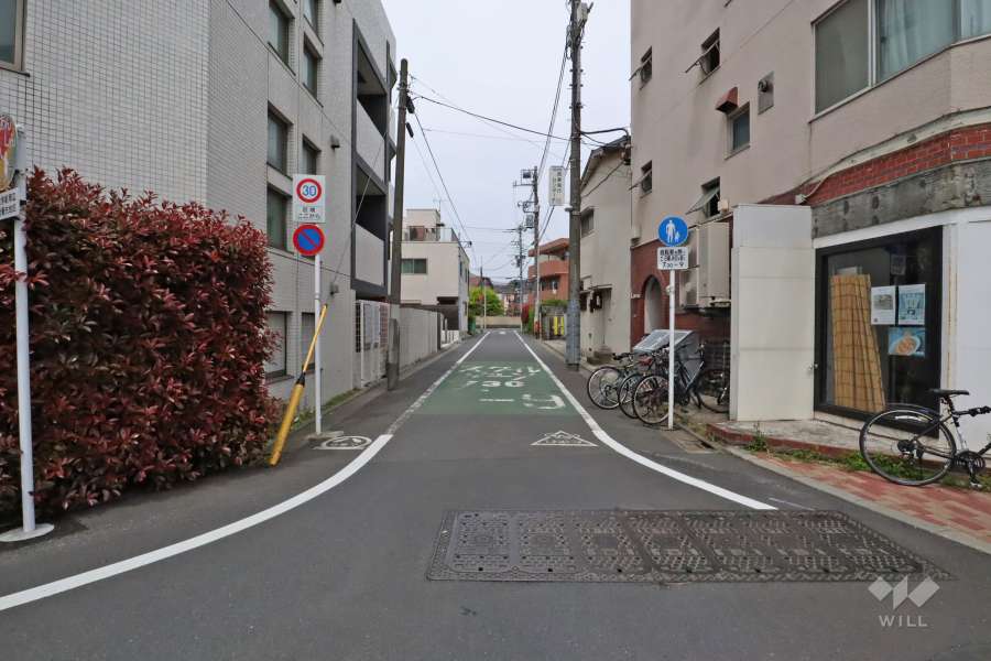 敷地東側の前面道路(南側から)
