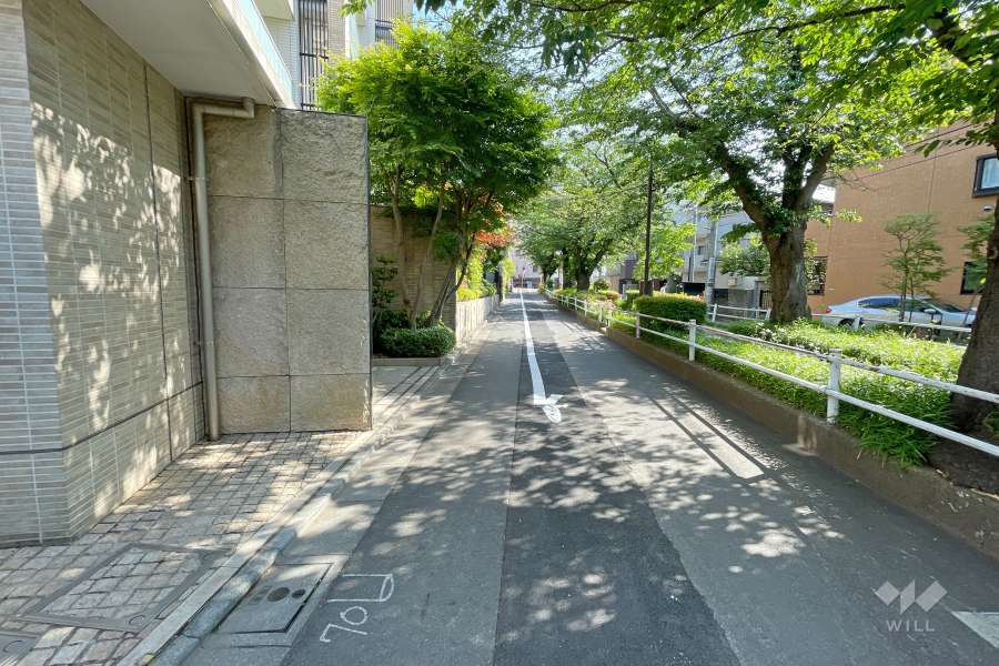 敷地西側の前面道路