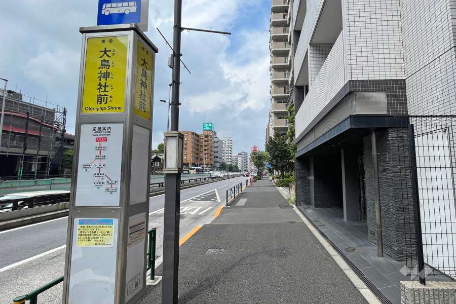 敷地南西側の前面道路（南東側から）
