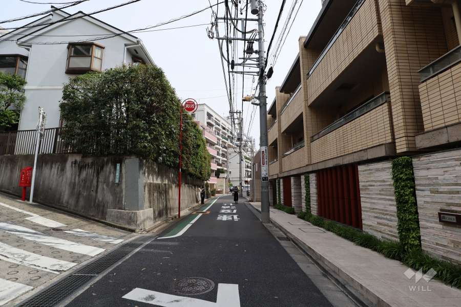 敷地北東側の前面道路(北西側から)