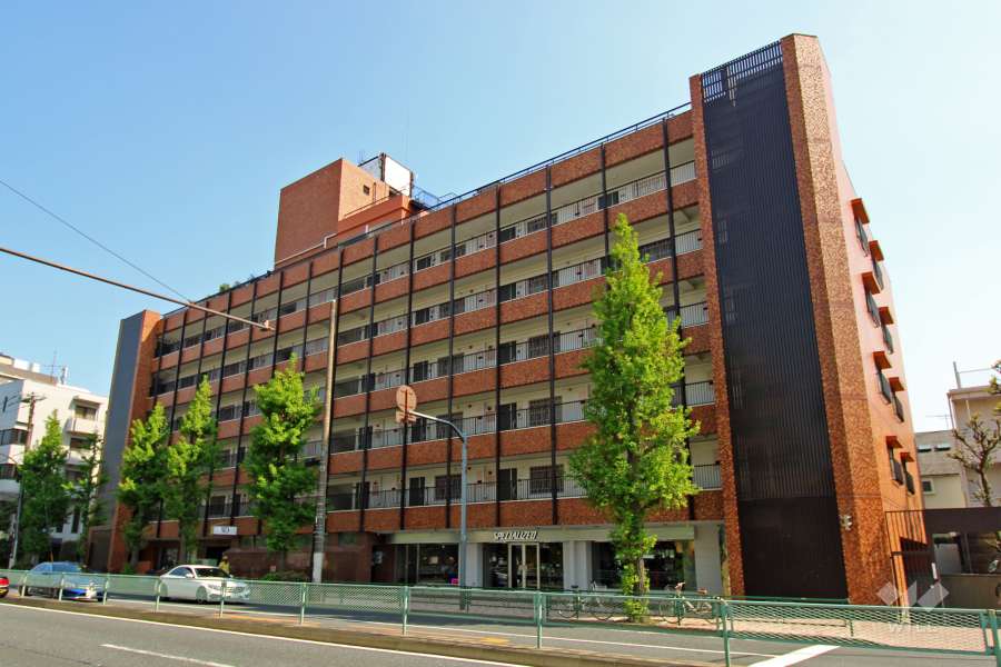 自由が丘ハイタウンの外観（北側から）