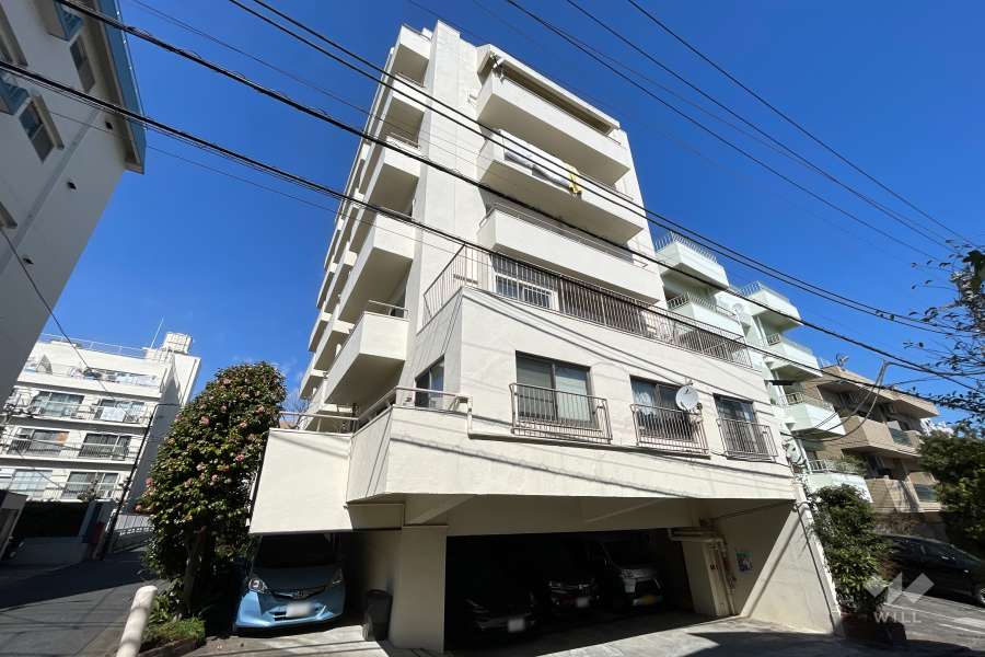 東山スカイマンション(目黒区)の外観（南側から）