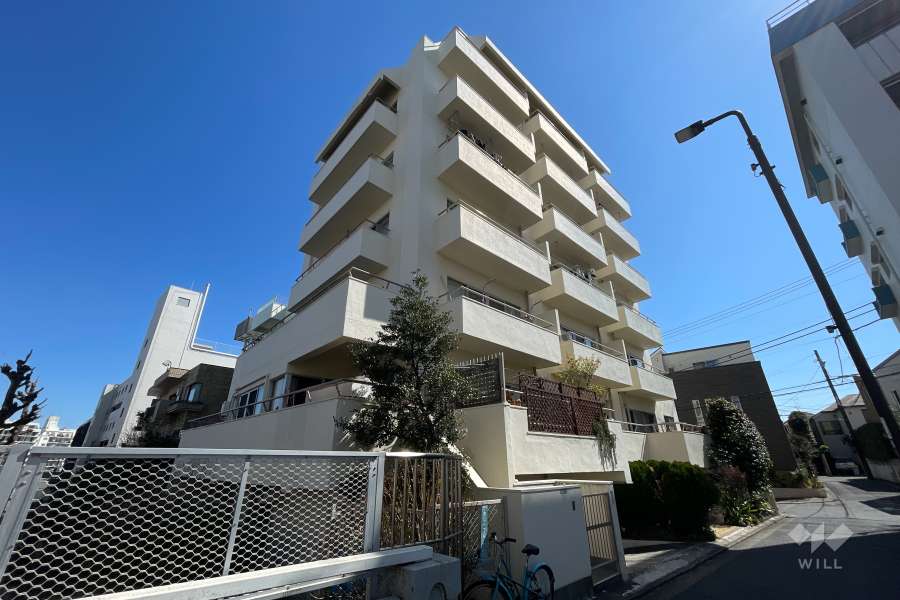 東山スカイマンション(目黒区)の外観（西側から）