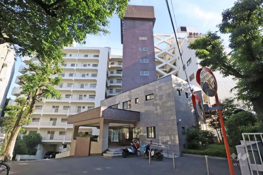 マンション恵比須苑の外観(北側から)