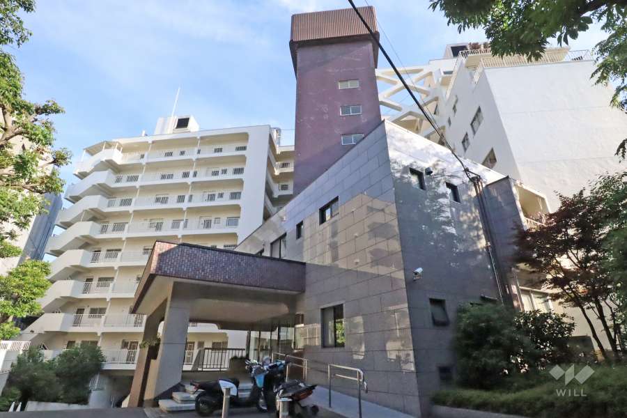 マンション恵比須苑の外観(北西側から)