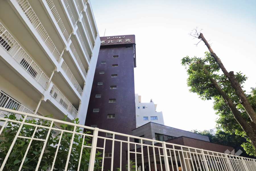 マンション恵比須苑の外観(北東側から)