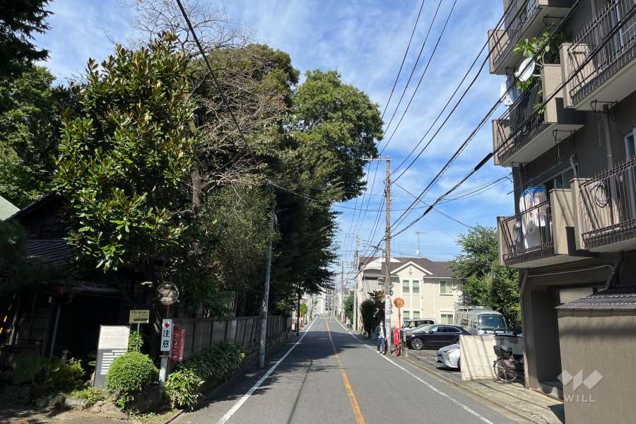 敷地の西側前面道路（南側から）