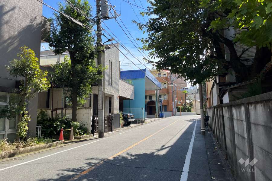 敷地の西側前面道路（北側から）