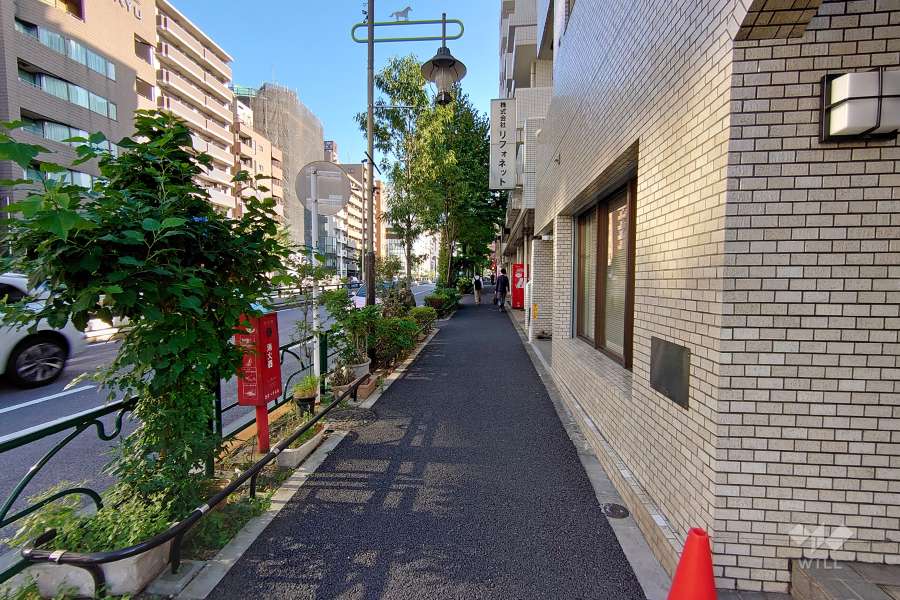 敷地東側の前面道路