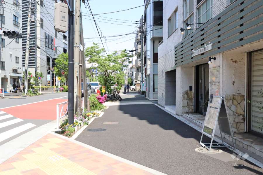 敷地南西側の前面道路（南東側から）