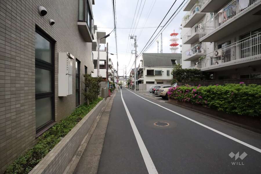 敷地東側の前面道路(北側から)