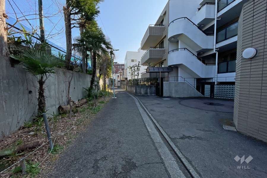 敷地北側の前面道路（西側から）