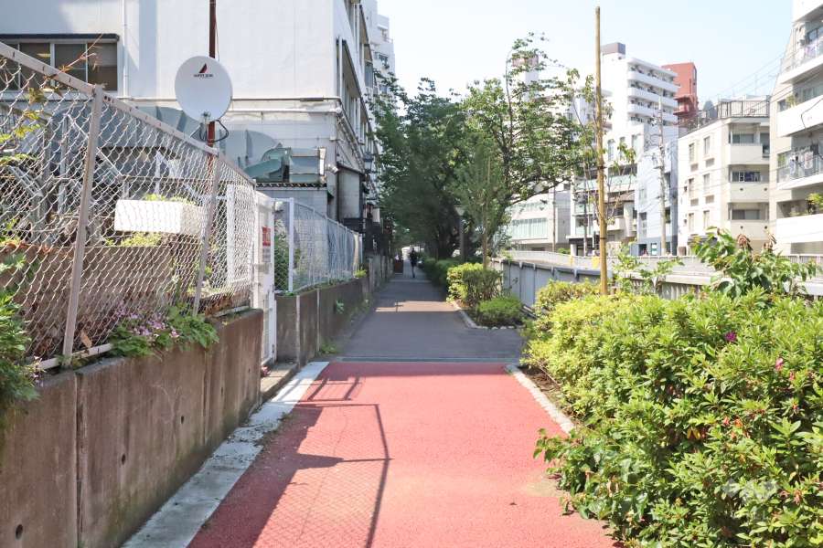 敷地北東側の前面道路（南東側から）