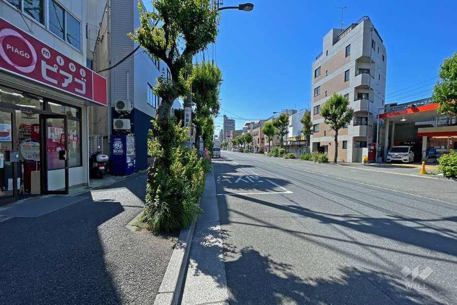 敷地南西側の前面道路（西側から）