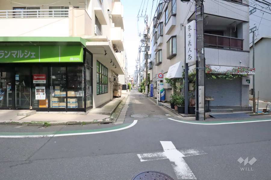 敷地北東側の前面道路（南東側から）