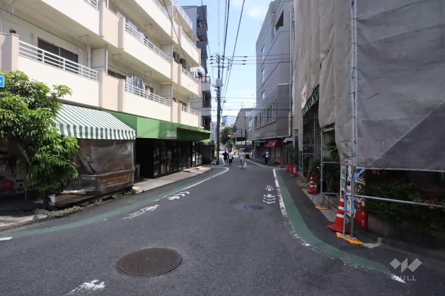 敷地南東側の前面道路（南西側から）