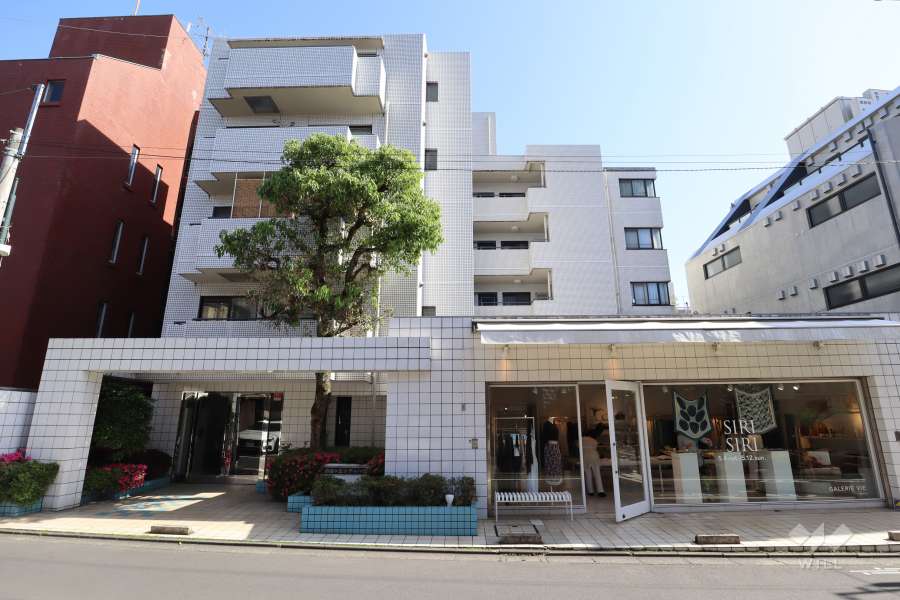 自由が丘シティハウスの外観（北側から）