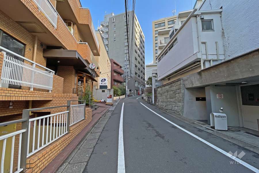 敷地東側の前面道路（南側から）