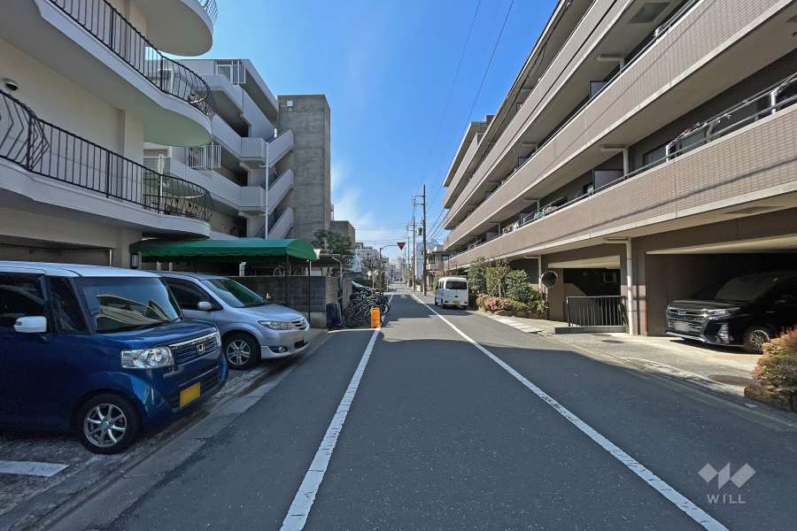 敷地北側の前面道路（西側から）