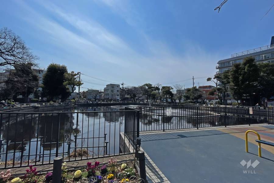 隣接する清水池公園内の釣り堀