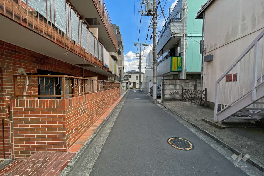 敷地南側の前面道路（西側から）