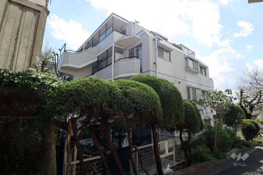 セザール大岡山の外観(北東側から)