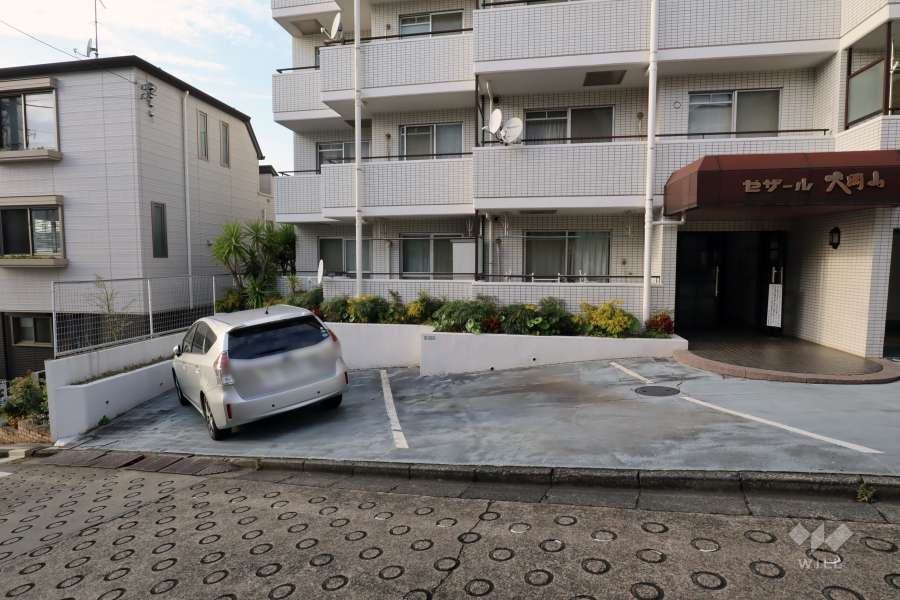 敷地内駐車場（屋外平面式）