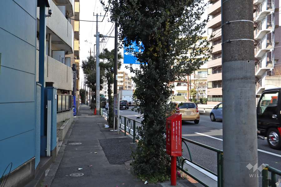 敷地東側の前面道路(南側から)