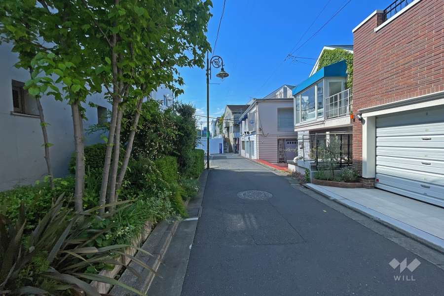 敷地側西側の前面道路（北側から）