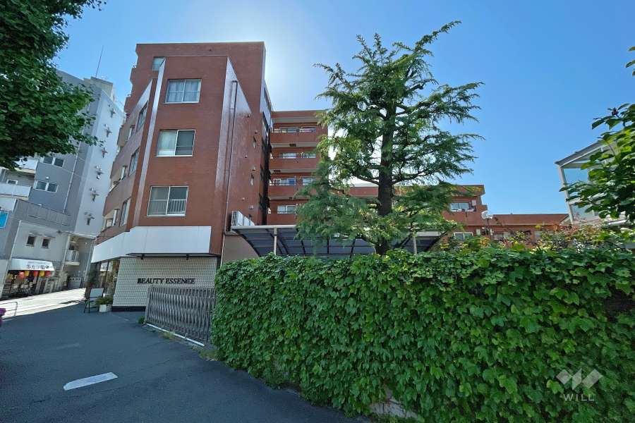 シャンボール柿の木坂の外観(東側から）